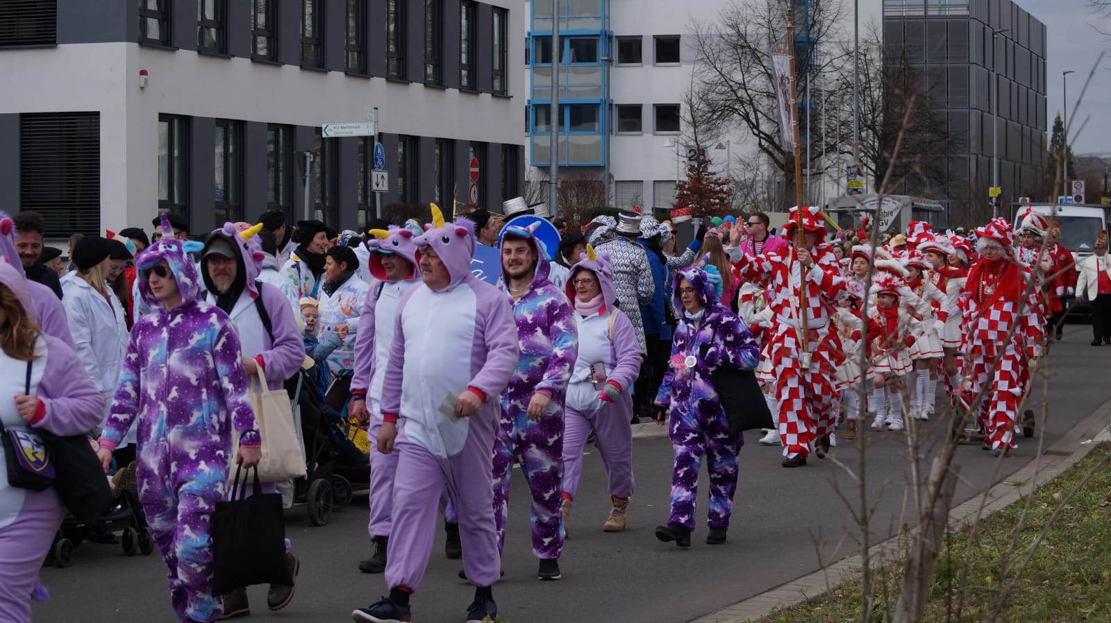 Kostümierte Vereinsmitglieder am Rosenmontag